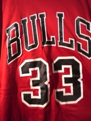 Rare Scottie Pippen jersey